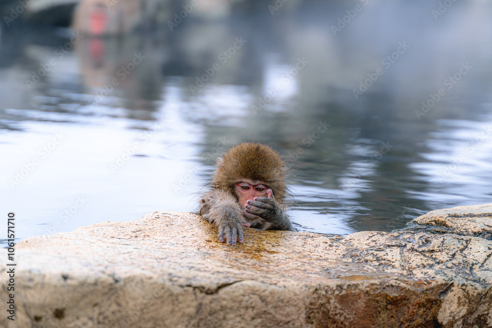 Obraz premium 地獄谷温泉