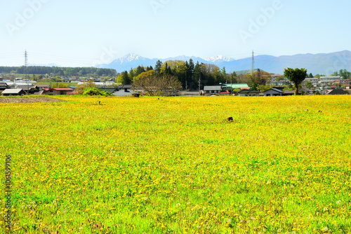 上之段石器時代遺跡付近　長野県茅野市 photo