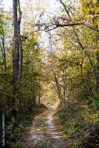 Seasonal natural scene, Tribec mountain range, Slovakia