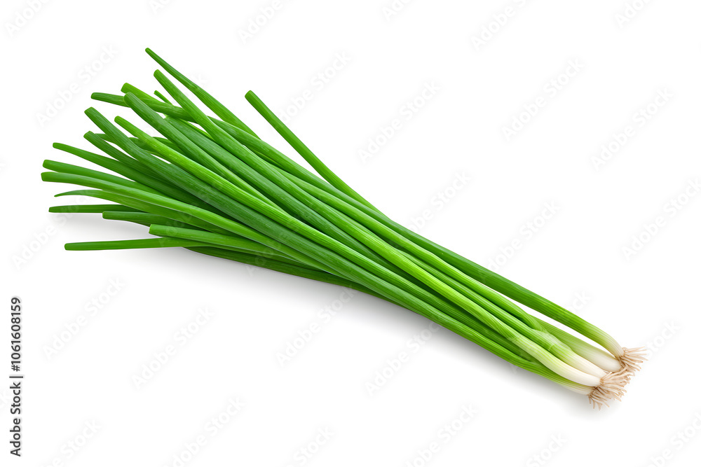 Fresh green onions isolated on white background Fresh green onions isolated on white background