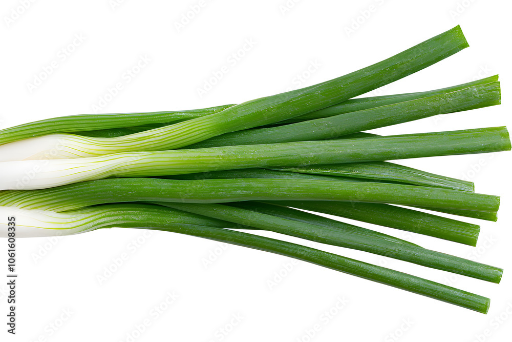 Fresh green onions isolated on white background Fresh green onions isolated on white background