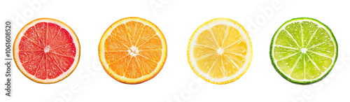 Citrus fruit wheel slices of grapefruit, orange, lemon, lime PNG set, cutout isolated on transparent background. Fresh drink garnish decoration graphic resource photo
