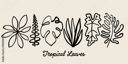 Black ink tropical palm leaves collection. Hand painted exotic jungle leaves set, subtropical plants brush sketch.