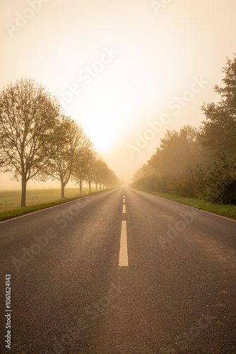 Nebel im November im Herbst bei Sonnenaufgang