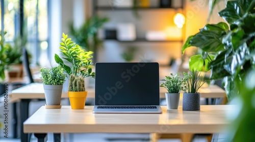 Open work area with multiple modern desks, each organized with a laptop, plants, and clean decor. A spacious, bright atmosphere for creativity.