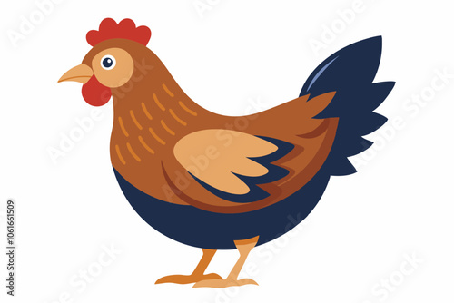 walking and eating a beautiful hen isolated on white background