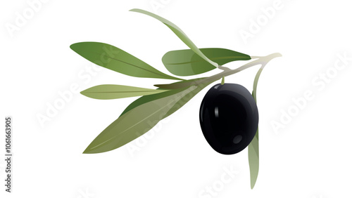 Black whole olive with leaves isolated on white. Olive twigs with leaves. Best for olive products, farm market products,  design art, drawing clipart, Illustration painting, Graphic logo olive vector.