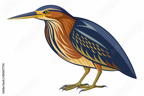  American bittern isolates on a white background.