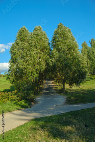 city park jogging path, green trees