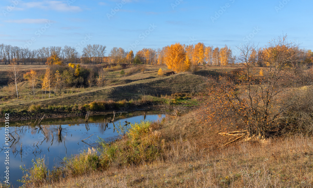 Beaver pond on the background of a beautiful autumn landscape Beaver pond on the background of a beautiful autumn landscape