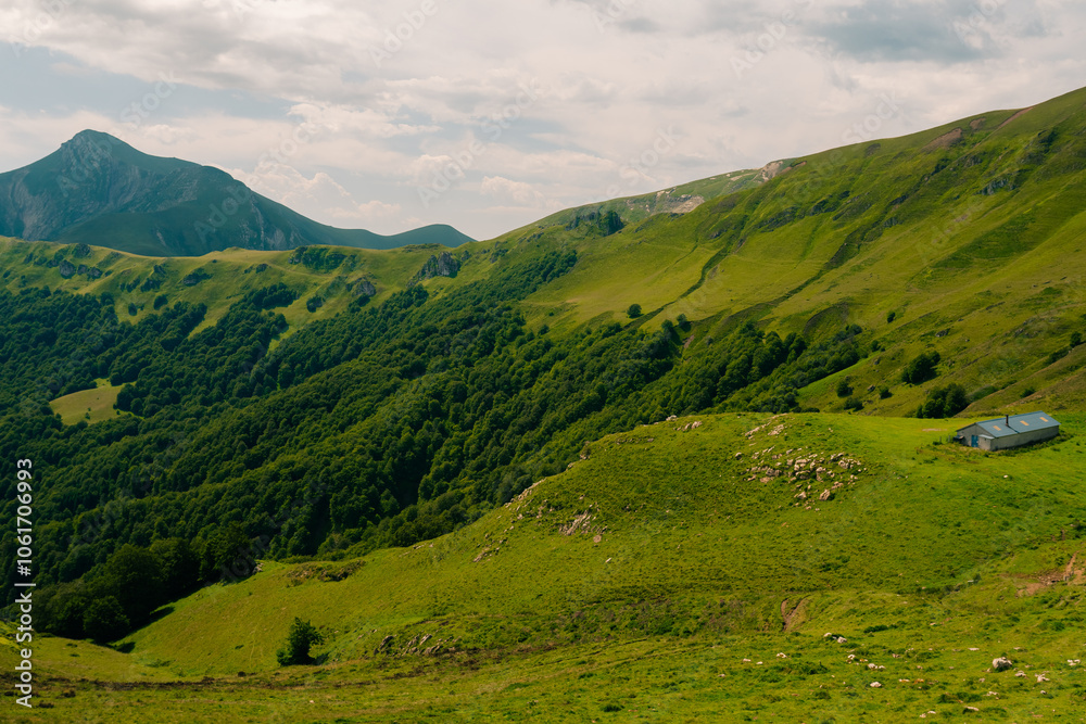 Fototapeta premium green fields nearby Mount Orhi, between Navarre and France