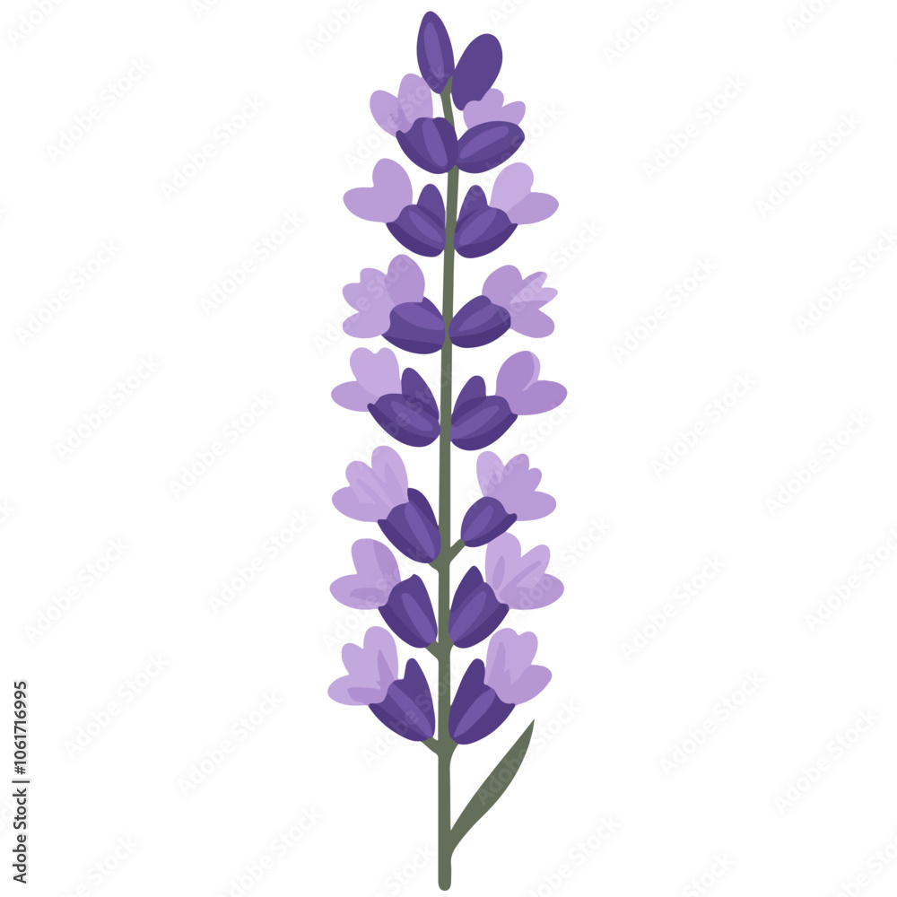 Obraz premium Lavender bunch vector illustration