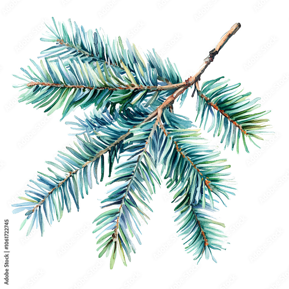 Naklejka premium branches of a pine