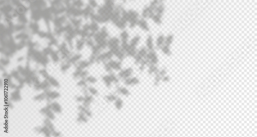 Glare from the sun's rays on the wall. Blurred shadows from leaves and plants in the room. Soft overlay of natural light. Abstract background for product presentation.Natural light layout.