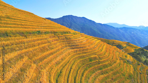 Photography Agriculture