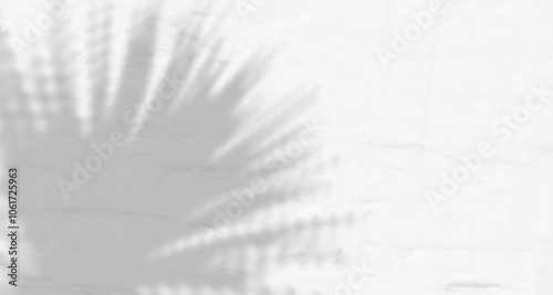Glare from the sun's rays on the wall. Blurred shadows from leaves and plants in the room. Soft overlay of natural light. Abstract background for product presentation.Natural light layout.