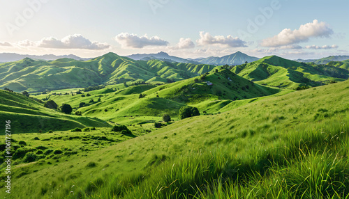 Paysage verdoyant sur collines ensoleillées