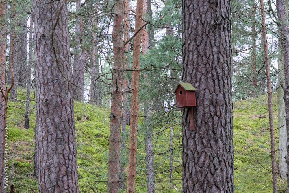 a birdhouse in the forest attached to the bark of a pine tree
a birdhouse in the forest attached to the bark of a pine tree