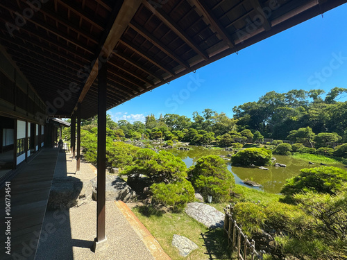 Japanese garden