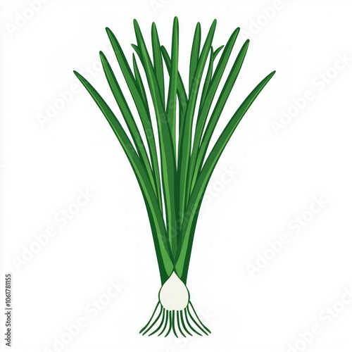 illustration features scallion long green tops and smooth white base designed minimalist style highlighting its fresh and natural characteristics clean aesthetic.