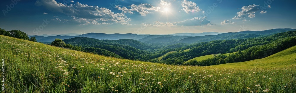 A breathtaking panoramic view of the lush green Pineville area under a bright blue sky during a sunny day