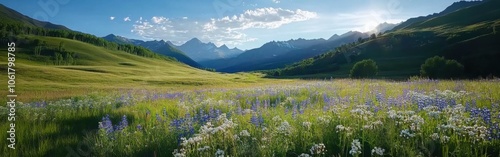 A vibrant meadow adorned with wildflowers in the serene San Juan Mountains during the golden hour of sunset