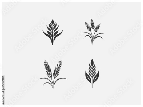 wheat plant logo set vector, vector and illustration,