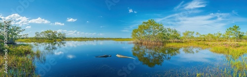 Serene vista of the Everglades National Park showcasing reflections on water and lush vegetation under a bright blue sky