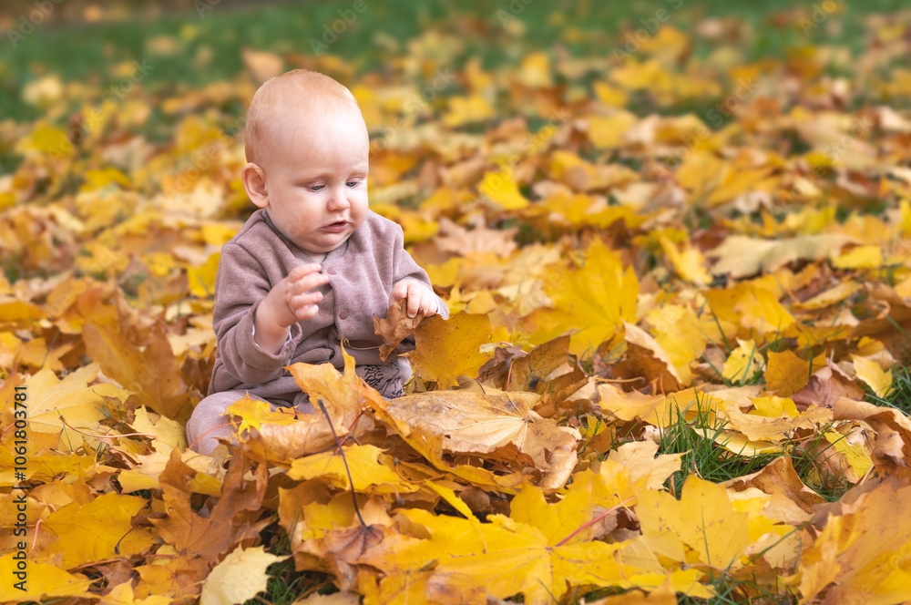tiny funny baby european boy 10 months old sitting in autumn park among bright orange leaves tiny funny baby european boy 10 months old sitting in autumn park among bright orange leaves