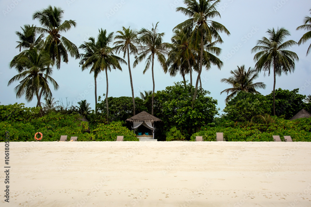 Snow-white beach with palm trees in the Maldives