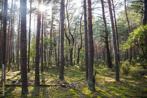 Natural Parc in Poland
