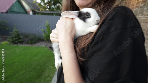 Small rabbit in hands of a woman