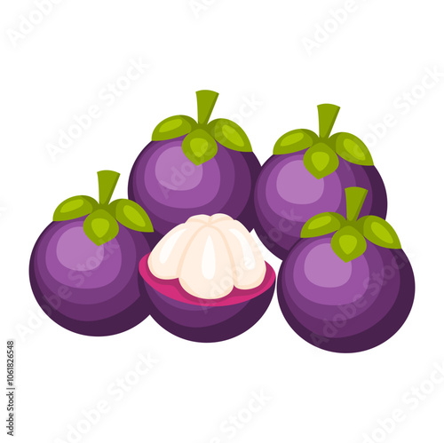 illustration of mangosteen