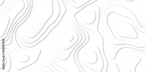 Abstract luxury white modern 3d papercut background. Minimal abstract vector wave carve diamond topography line circle creative topography map circle and wave line smooth multilayer pattern. papercut.