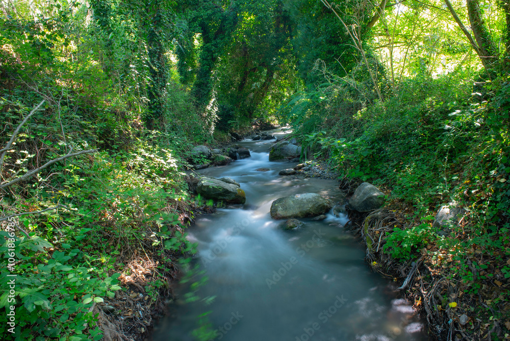 Idyllic nature scenery with small river in the woods, Italy Idyllic nature scenery with small river in the woods, Italy