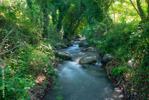 Idyllic nature scenery with small river in the woods, Italy