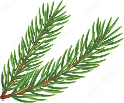 Green spruce branch on a white background. New Year tree. Conifer