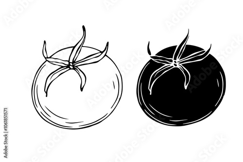 Line sketch, stamp, tomato vegetable silhouette. Vector graphics.