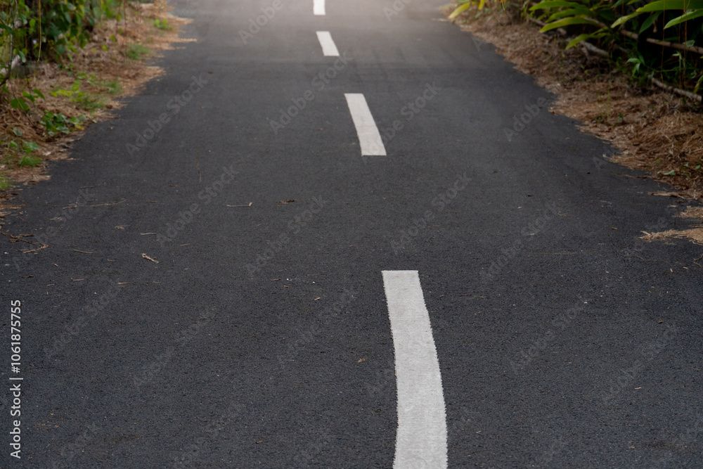 Obraz premium Asphalt road with white lane lines. A small path with grass on both sides of the road. The atmosphere of a dim evening photo.