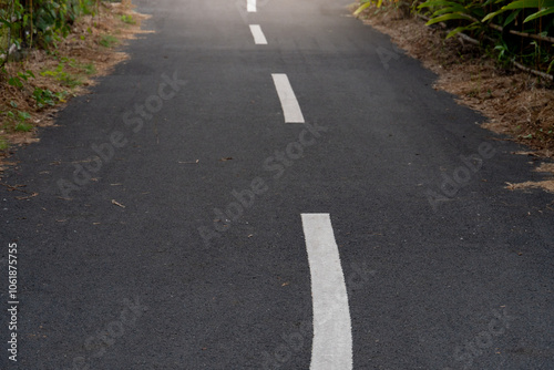 Wallpaper Mural Asphalt road with white lane lines. A small path with grass on both sides of the road. The atmosphere of a dim evening photo. Torontodigital.ca