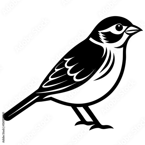 illustration of a clay colored sparrow  bird