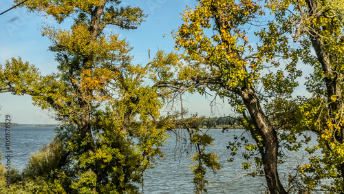 Agricultural fields with young green shoots of grain crops and plowed field without sowing. With trees in the background on the hills. Fallow concept. Alternation.