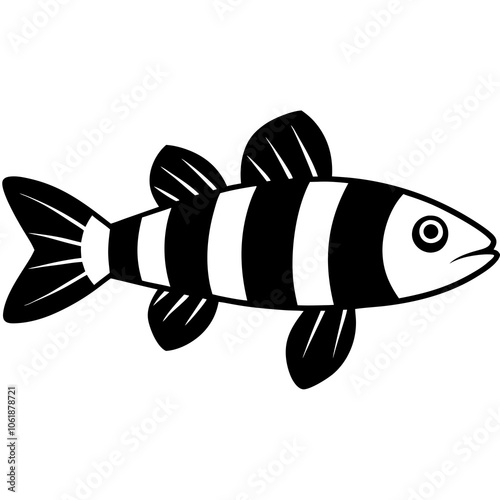 illustration of a clown loach fish