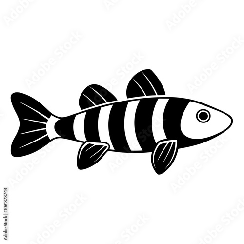 illustration of a clown loach fish