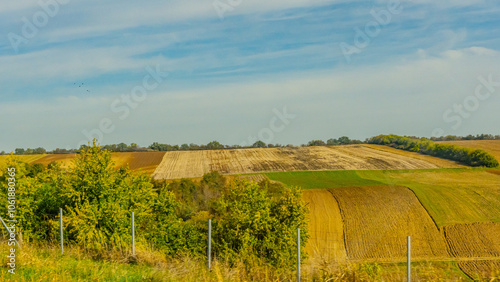 Agricultural fields with young green shoots of grain crops and plowed field without sowing. With trees in the background on the hills. Fallow concept. Alternation.