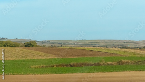 Agricultural fields with young green shoots of grain crops and plowed field without sowing. With trees in the background on the hills. Fallow concept. Alternation.