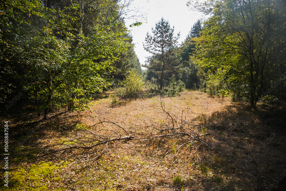 Natural Parc in Poland