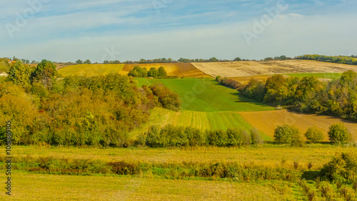 Agricultural fields with young green shoots of grain crops and plowed field without sowing. With trees in the background on the hills. Fallow concept. Alternation.