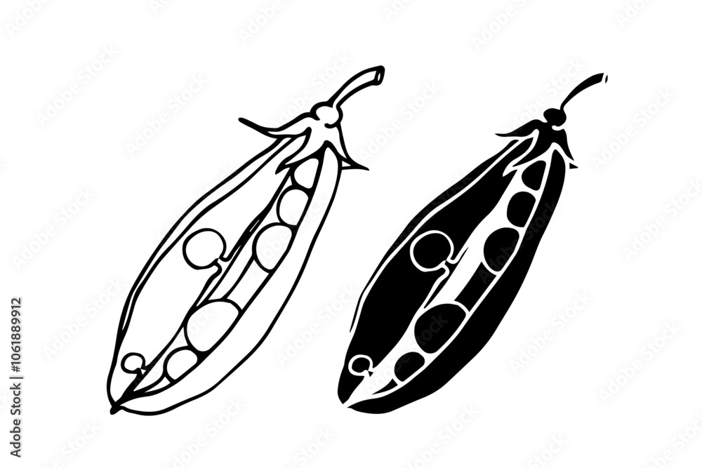 Line sketch, stamp, silhouette of vegetables, a bunch of green peas. Vector graphics.