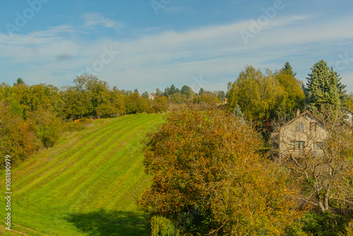 Agricultural fields with young green shoots of grain crops and plowed field without sowing. With trees in the background on the hills. Fallow concept. Alternation.